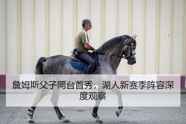 詹姆斯父子同台首秀，湖人新赛季阵容深度观察